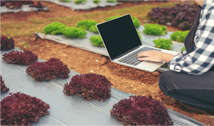 The use of IoT in agriculture and precision farming 