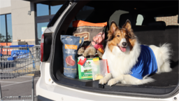 Pet Supplies Plus Coupons