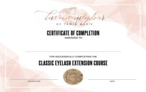 lash tech certification